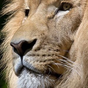 Meet your Posher, Mayur